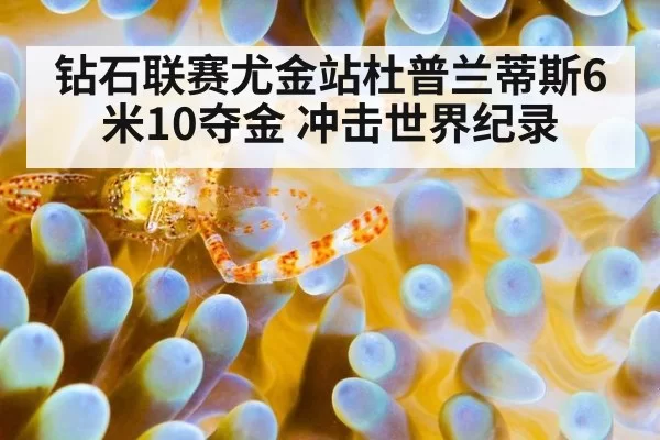 钻石联赛尤金站杜普兰蒂斯6米10夺金 冲击世界纪录